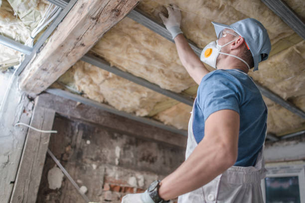 Best Insulation Installation Services in Maryvle, IL